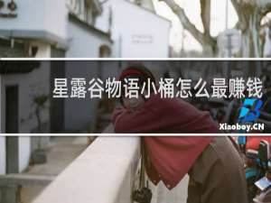 星露谷物语小桶怎么最赚钱