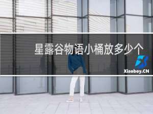 星露谷物语小桶放多少个