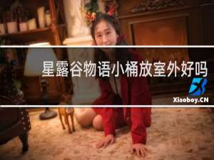 星露谷物语小桶放室外好吗