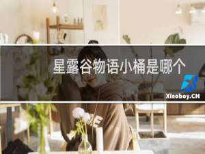 星露谷物语小桶是哪个