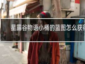 星露谷物语小桶的蓝图怎么获得