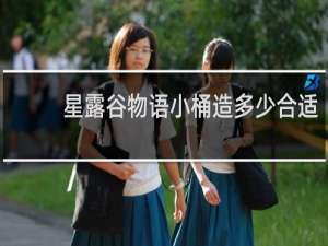 星露谷物语小桶造多少合适