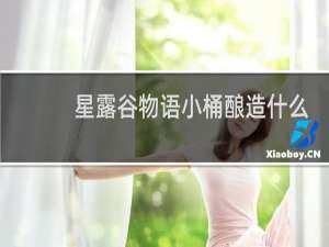 星露谷物语小桶酿造什么