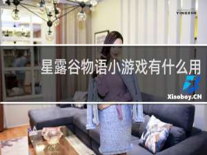 星露谷物语小游戏有什么用