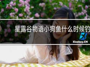 星露谷物语小狗鱼什么时候钓