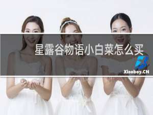 星露谷物语小白菜怎么买