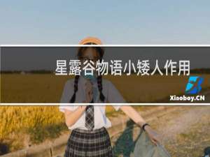 星露谷物语小矮人作用