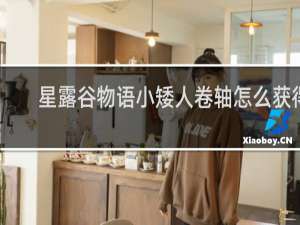 星露谷物语小矮人卷轴怎么获得