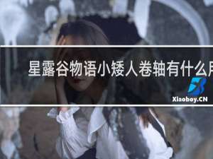 星露谷物语小矮人卷轴有什么用