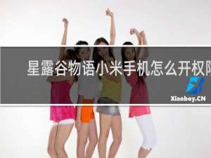 星露谷物语小米手机怎么开权限