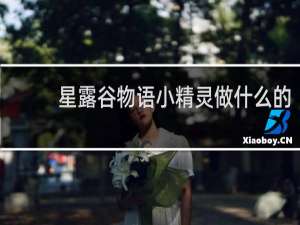 星露谷物语小精灵做什么的