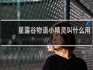 星露谷物语小精灵叫什么用