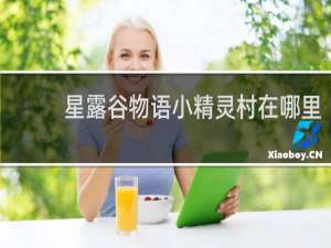 星露谷物语小精灵村在哪里