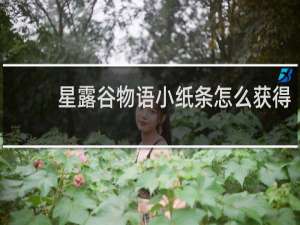 星露谷物语小纸条怎么获得