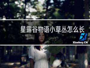 星露谷物语小草丛怎么长