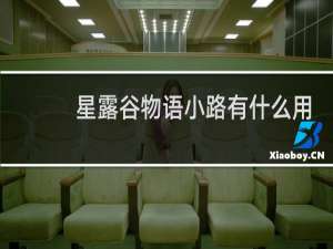 星露谷物语小路有什么用