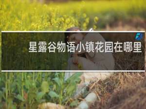 星露谷物语小镇花园在哪里