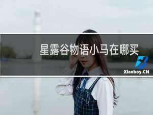 星露谷物语小马在哪买