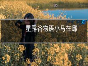 星露谷物语小马在哪