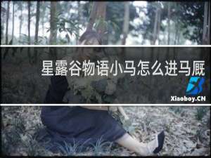 星露谷物语小马怎么进马厩