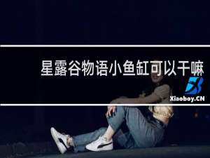 星露谷物语小鱼缸可以干嘛