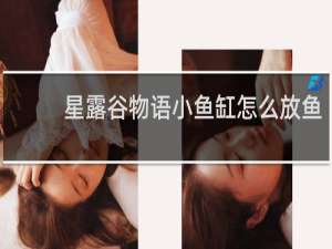 星露谷物语小鱼缸怎么放鱼