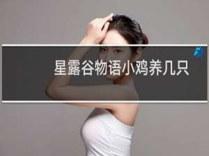 星露谷物语小鸡养几只