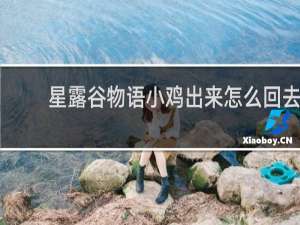 星露谷物语小鸡出来怎么回去