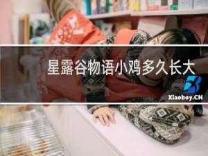 星露谷物语小鸡多久长大