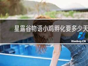 星露谷物语小鸡孵化要多少天