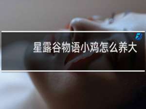 星露谷物语小鸡怎么养大