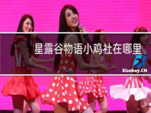 星露谷物语小鸡社在哪里