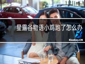 星露谷物语小鸡跑了怎么办