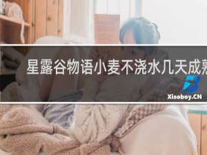 星露谷物语小麦不浇水几天成熟