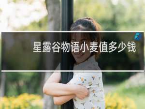 星露谷物语小麦值多少钱