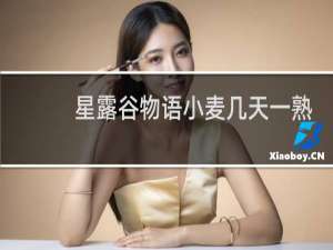 星露谷物语小麦几天一熟