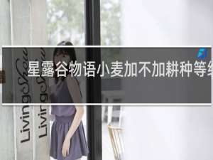 星露谷物语小麦加不加耕种等级