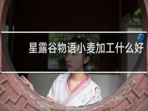 星露谷物语小麦加工什么好