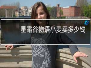 星露谷物语小麦卖多少钱