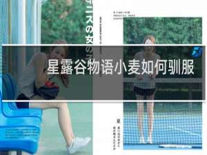 星露谷物语小麦如何驯服