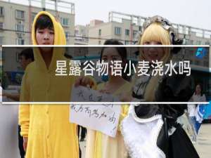 星露谷物语小麦浇水吗