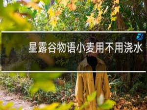 星露谷物语小麦用不用浇水