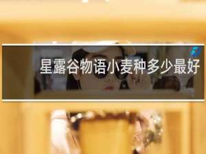 星露谷物语小麦种多少最好