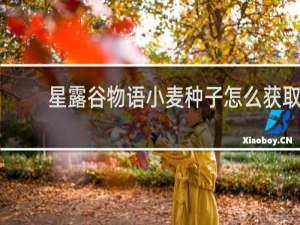 星露谷物语小麦种子怎么获取