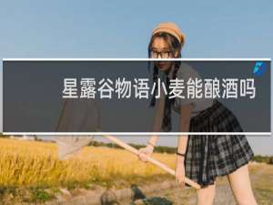 星露谷物语小麦能酿酒吗