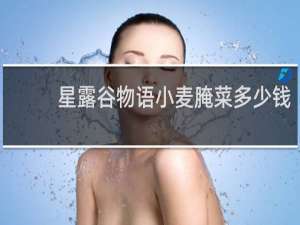 星露谷物语小麦腌菜多少钱