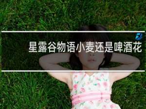 星露谷物语小麦还是啤酒花