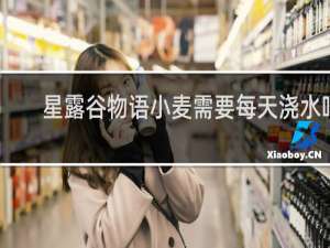 星露谷物语小麦需要每天浇水吗