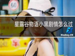 星露谷物语小黑剧情怎么过