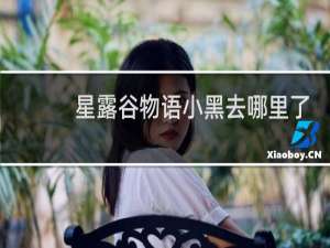 星露谷物语小黑去哪里了